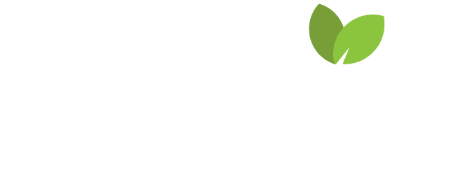 Plans and Pricing – YAPI