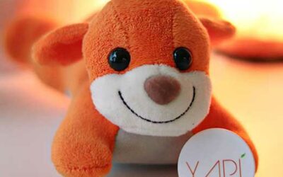 Introducing YAPI Puppies with a Purpose