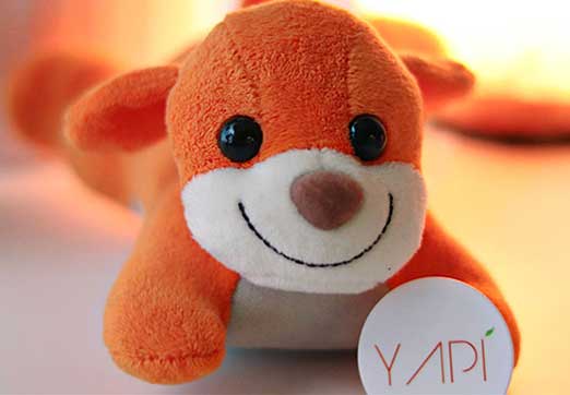 Introducing YAPI Puppies with a Purpose