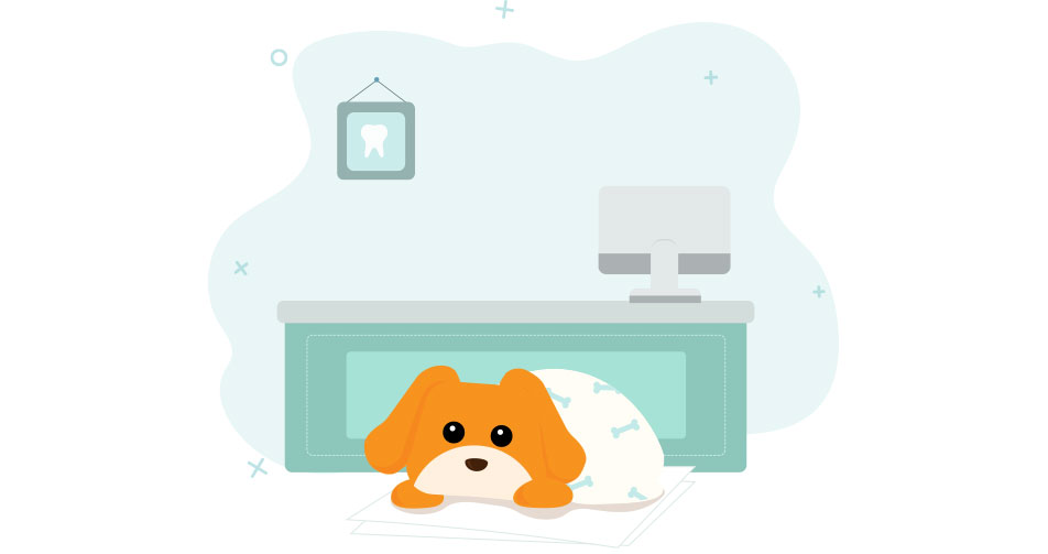 yapi-puppy