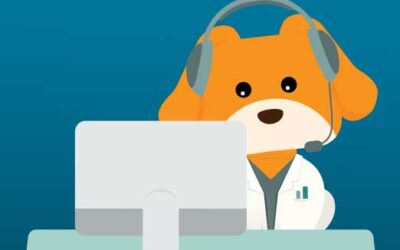 Live Training and Support: Why You Need Both