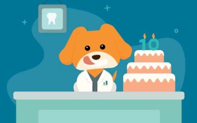 10 Years of Innovative Dental Software