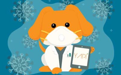 Overcoming COVID-19 Office Challenges with YAPI