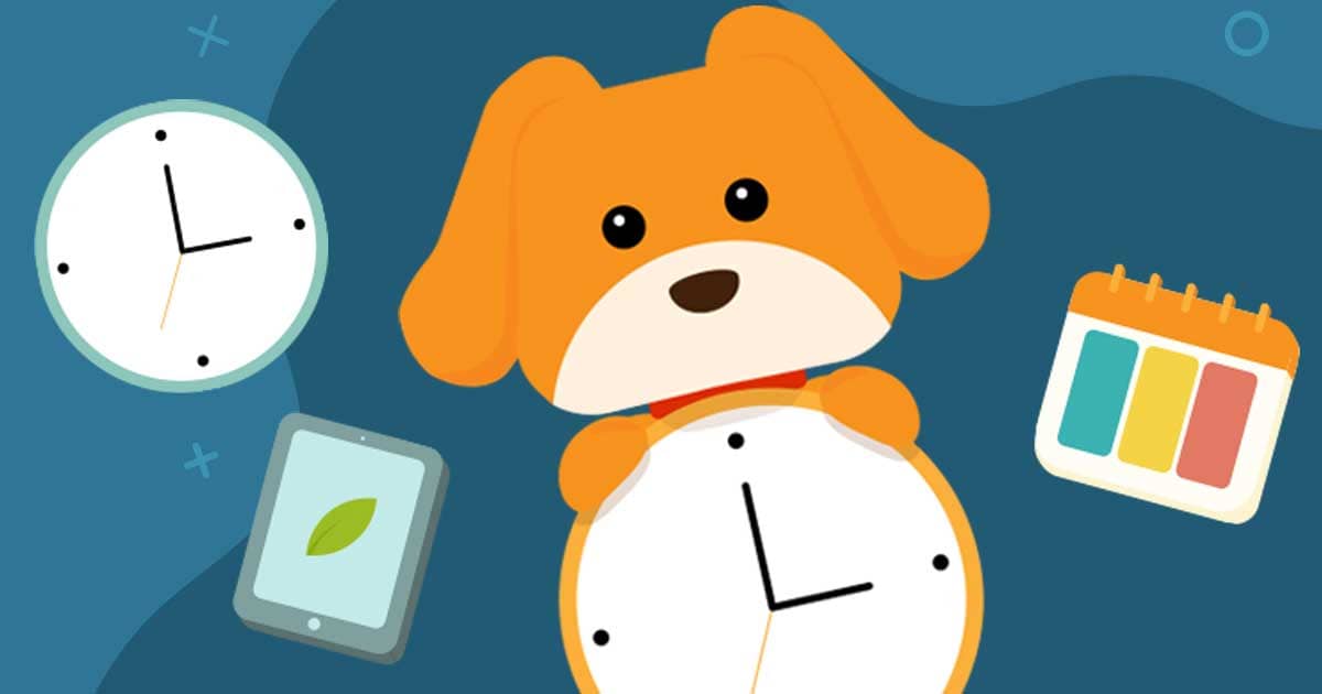 How to Keep Your Schedule Full with YAPI Yapi